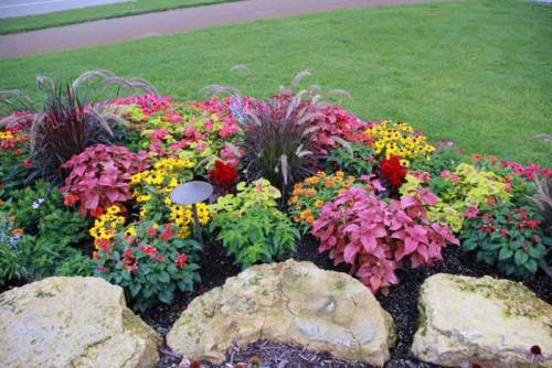 Готовые схемы и проекты клумб. Принципы формирования цветника