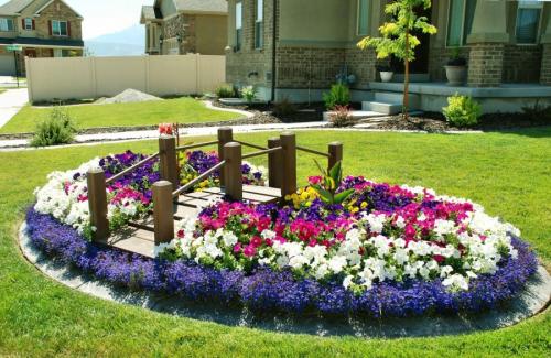Готовые схемы цветников для начинающих. Клумбы из многолетников: правила и особенности выращивания для новичков (85 фото)