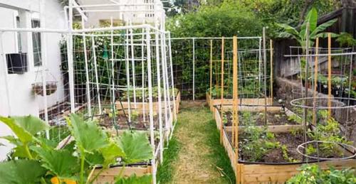 Сделать грядки. Как сделать высокие грядки своими руками.