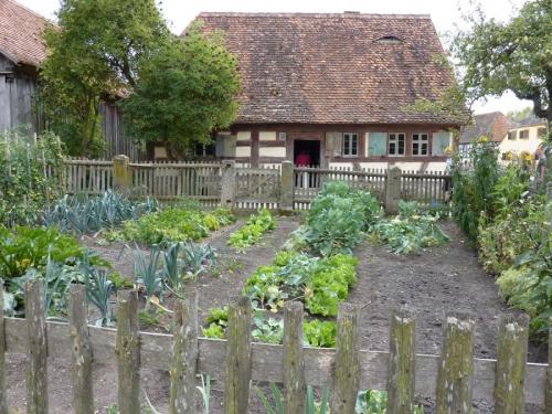 Планируем сад и огород. Планируем огород