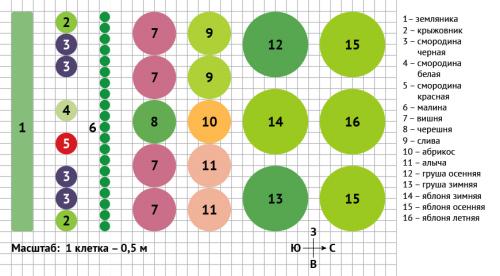 Как расположить огород и сад на участке возле дома. Где построить жилой дом 06 Как расположить огород и сад на участке возле дома. Где построить жилой дом 06
