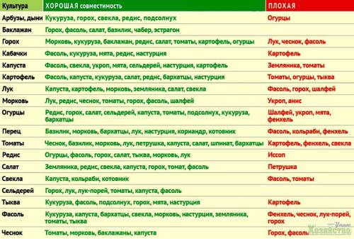 Правильная планировка огорода. Правильные грядки