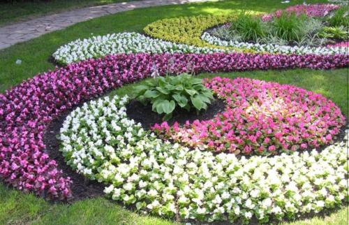 Как оформить большую клумбу. Красивые клумбы — варианты оформления, правила организации, выбор места, советы новичкам + 99 фото
