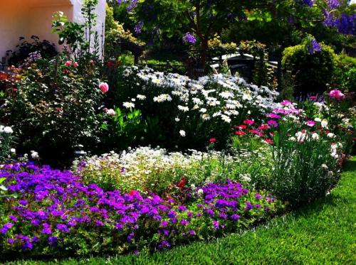 Как оформить большую клумбу перед домом. Клумба своими руками — роскошные идеи дизайнеров и советы по дизайну и оформлению (105 фото)