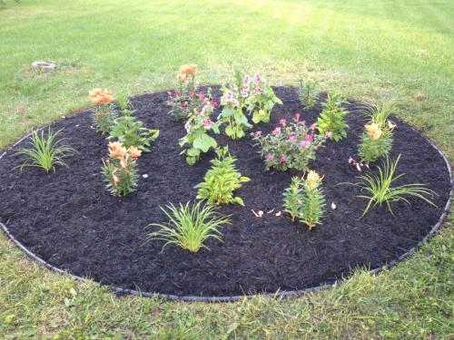 Как оформить большую клумбу перед домом. Клумба своими руками — роскошные идеи дизайнеров и советы по дизайну и оформлению (105 фото)