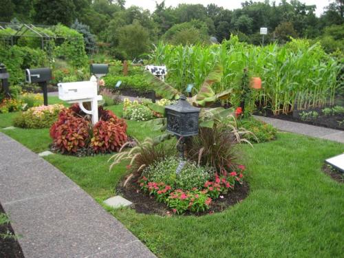 Как оформить большую клумбу перед домом. Клумба своими руками — роскошные идеи дизайнеров и советы по дизайну и оформлению (105 фото)