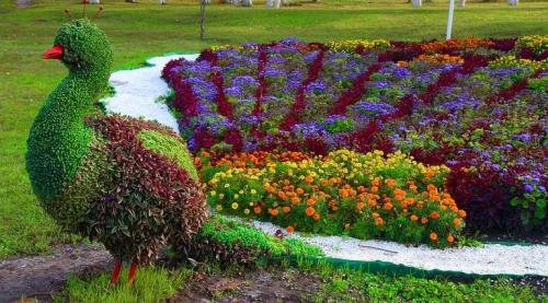 Как оформить большую клумбу. Красивые клумбы — варианты оформления, правила организации, выбор места, советы новичкам + 99 фото