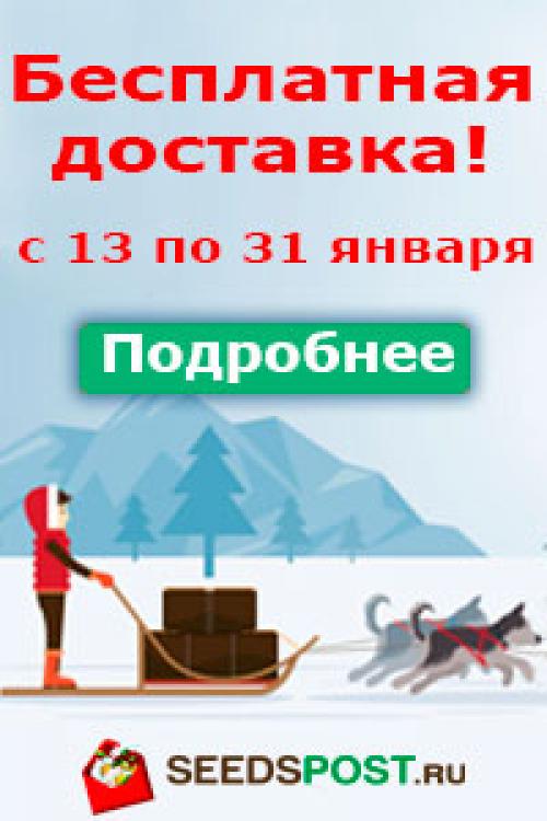 Шаговая плитка своими руками. Разноцветные «шаги»: мастер-класс по созданию шаговой дорожки
