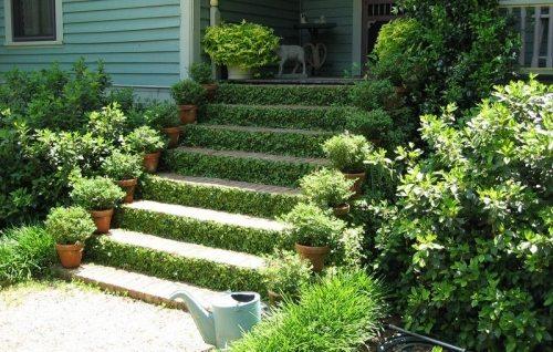 Лестница с улицы в дом своими руками. Предназначение уличных лестниц