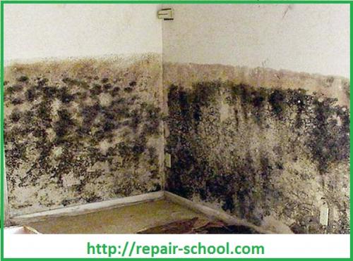 Чем отделать подвальное помещение. Чем отделать стены в подвале частного дома 11