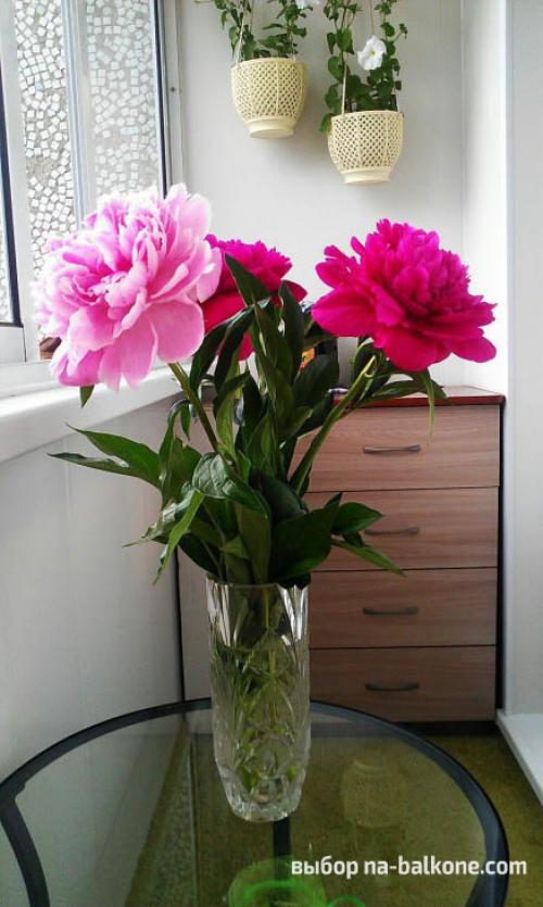 Как обустроить большую лоджию. 