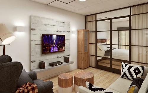 Дизайн гостиной и спальни. Дизайн перегородки в интерьере спальни-гостиной