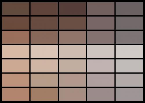 Краска для стен цвета кофе с молоком. Привлекательность палитры