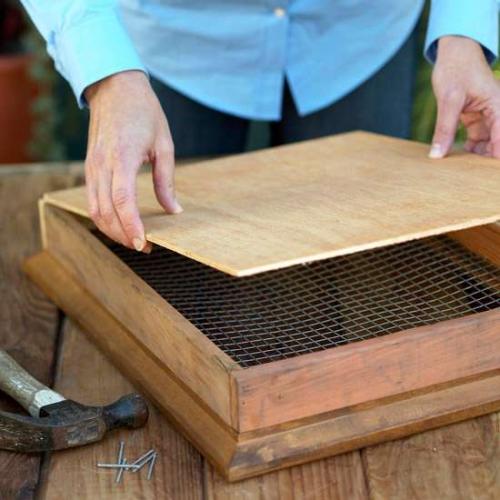 Суккуленты композиции. Композиции из суккулентов: пошаговые инструкции и фото