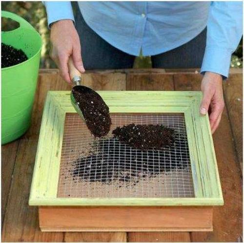 Суккуленты композиции. Композиции из суккулентов: пошаговые инструкции и фото