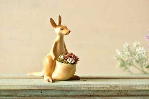 Суккуленты композиции. Композиции из суккулентов: пошаговые инструкции и фото