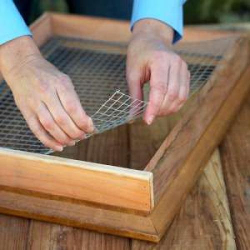 Суккуленты композиции. Композиции из суккулентов: пошаговые инструкции и фото