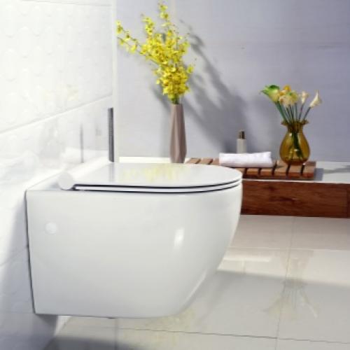 Какой слив лучше в унитазе. Какую систему смыва выбрать 18 Какой слив лучше в унитазе. Какую систему смыва выбрать 18