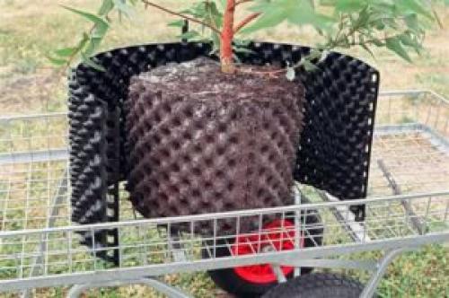 Airpot горшок. Air-pot для питомников и ландшафтников. Революционный подход к высадке крупных растений в любое время года!