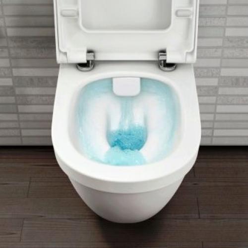 Какой слив лучше в унитазе. Какую систему смыва выбрать 13 Какой слив лучше в унитазе. Какую систему смыва выбрать 13