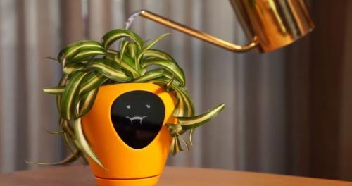 Умные горшки. Этот умный цветочный горшок превратит ваши растения в тамагочи. Теперь убить их будет не так просто