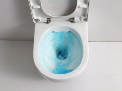 Какой слив лучше в унитазе. Какую систему смыва выбрать 14 Какой слив лучше в унитазе. Какую систему смыва выбрать 14