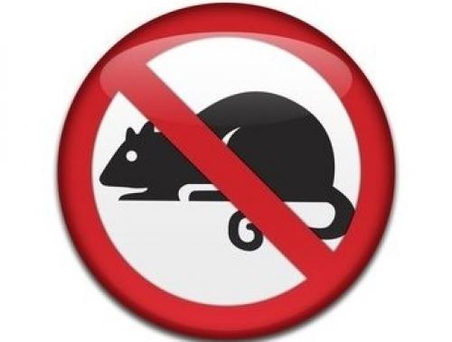 Уют в съемной квартире. Уютная хрущевка 07