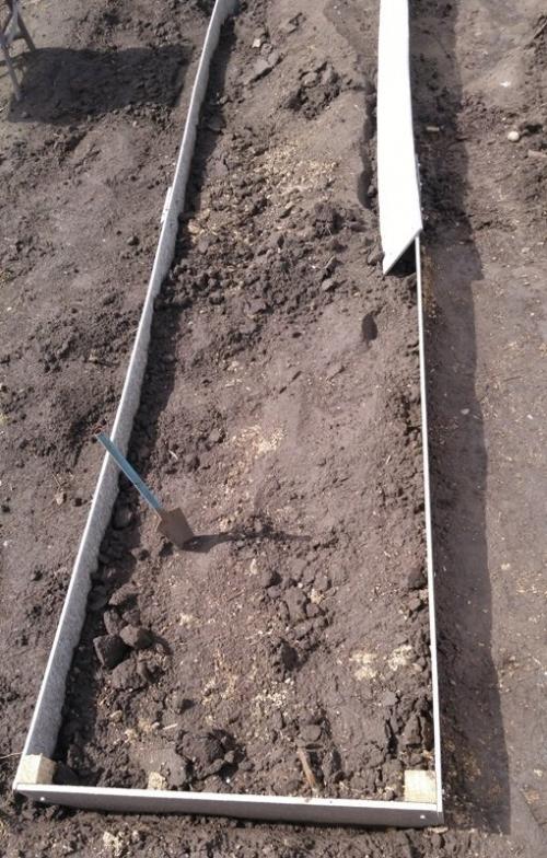 Плоский шифер для грядок. Как сделать грядки из шифера своими руками: