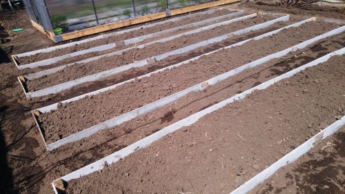 Плоский шифер для грядок. Как сделать грядки из шифера своими руками:
