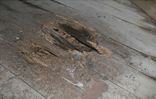 Ремонт скрипучих деревянных полов в квартире. Скрипит пол ремонт деревянного пола