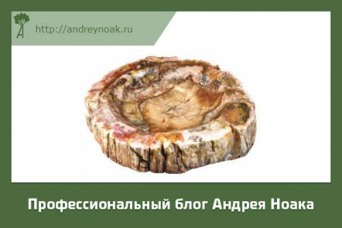 Бизнес план изделия из дерева. Легкий бизнес и уникальная идея заработка в деревообработке