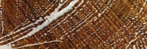 Как помыть ламинат после укладки. Основные правила обработки ламината без разводов