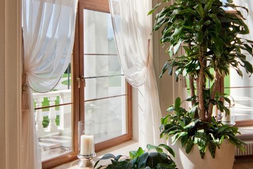 Микроклимат в квартире. Как создать правильный микроклимат в квартире