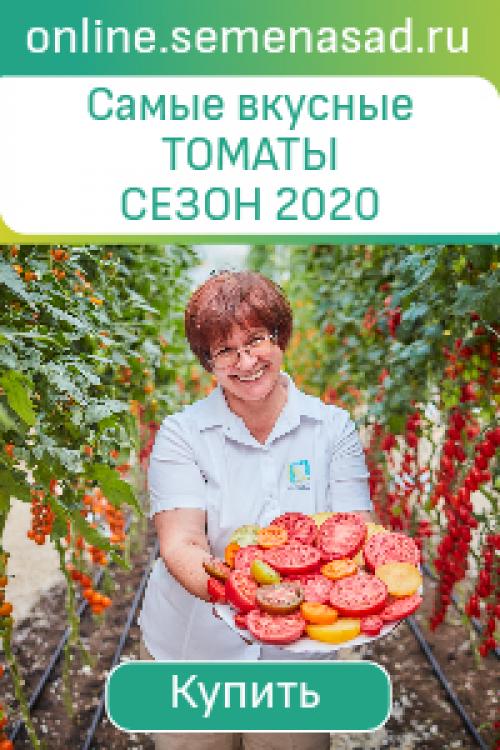 Интерьер домов в Дании. Уютный дачный интерьер на примере летнего домика в Дании