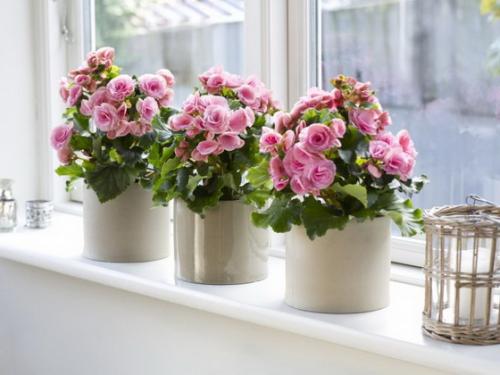 При создании интерьера учитывают правила композиции назовите их. Основы оформления интерьера квартиры: правило законченности композиции