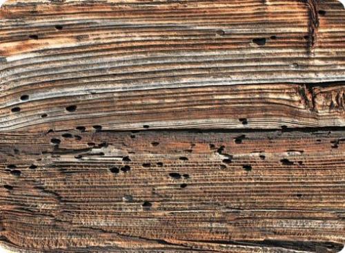 Как заменить бревно под окном. Выясняем, что менять