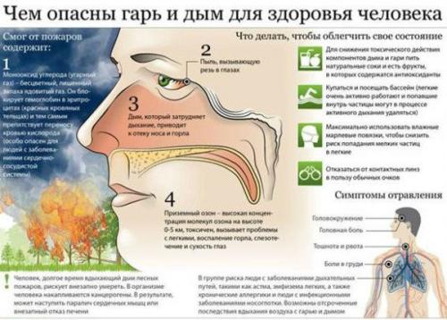 Дымоход и вентиляция в частном доме. Что вас может ждать из-за беспечности