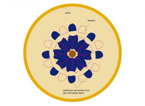 Как правильно посадить привитое дерево. Посадка яблони: как правильно