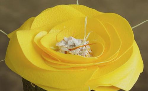 Как вырезать цветы из пластиковых бутылок. Как сделать плоские пластиковые цветы