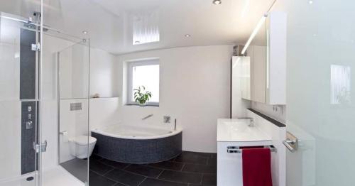 Под натяжным потолком плесень. Может ли появится плесень под натяжным потолком 10 Под натяжным потолком плесень. Может ли появится плесень под натяжным потолком 10