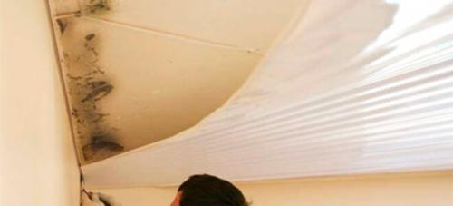 Под натяжным потолком плесень. Может ли появится плесень под натяжным потолком