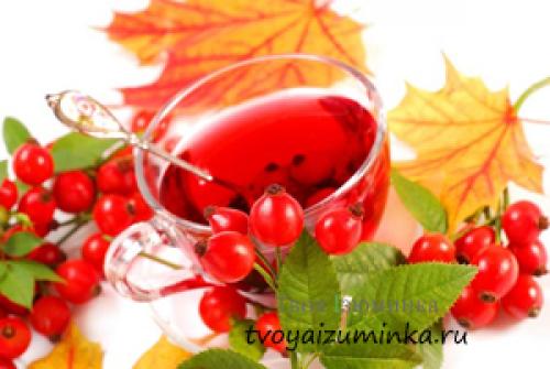 Как составить осенний рацион. Осеннее питание, какие витаминные продукты должны быть в рационе