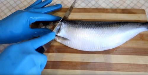 Как почистить селедку от мелких костей. Как правильно и быстро почистить селедку от костей: простая пошаговая инструкция