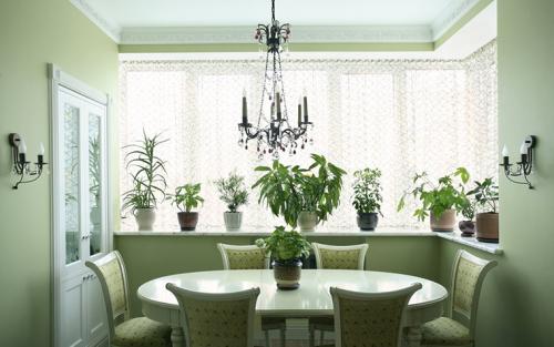 Белая кухня с зеленым фартуком. Где рекомендовано использовать цвет