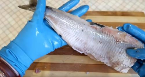 Как почистить селедку от мелких костей. Как правильно и быстро почистить селедку от костей: простая пошаговая инструкция