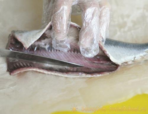 Как быстро отделить селедку от костей и шкуры. Пошаговый план действий по очистке селедочки