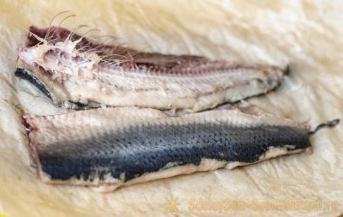 Как быстро отделить селедку от костей и шкуры. Пошаговый план действий по очистке селедочки