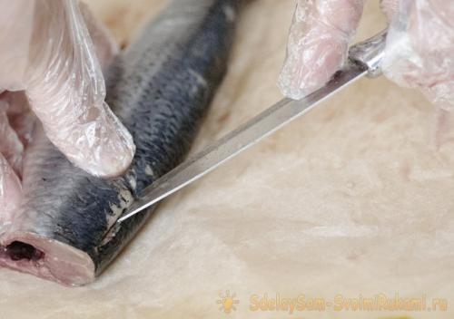 Как быстро отделить селедку от костей и шкуры. Пошаговый план действий по очистке селедочки