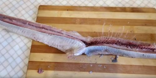Как почистить селедку от мелких костей. Как правильно и быстро почистить селедку от костей: простая пошаговая инструкция