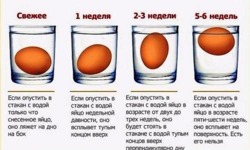 Интересные факты о яйцах куриных. Интересные факты о куриных яйцах
